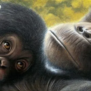 Chimpanzee painting by Daniel Taylor