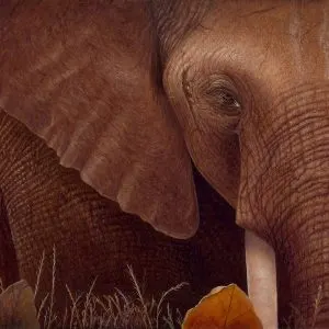 We need to save these magnificent creatures